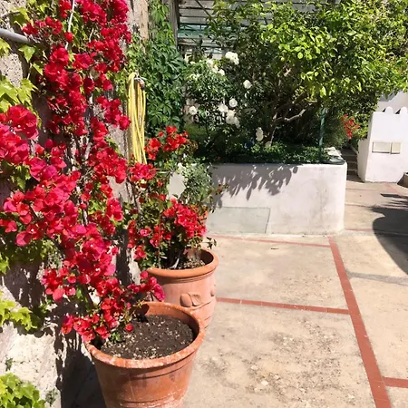 Casa San Matteo - Apartament Positano